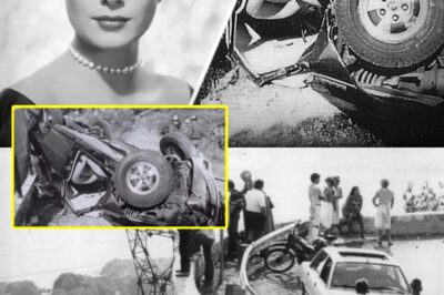 THE LAST DRIVE: The Conspiracy Behind Grace Kelly’s Fatal Crash