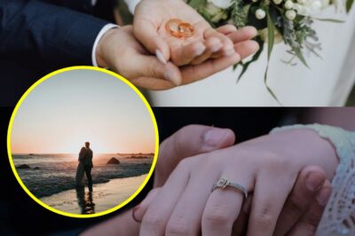 On Our Wedding Night, He Opened the Safe — and My World Shifted