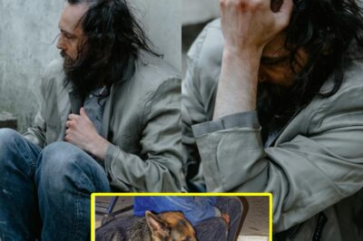 I Helped a Hungry Veteran… Then My Boss Tried to Ruin My Life