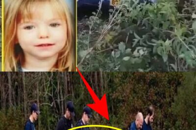 A Mother’s Worst Nightmare: How Three Young Lives Were Stolen