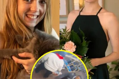 THE WOMAN ON FIRE: The Night Chicago Failed Bethany MaGee