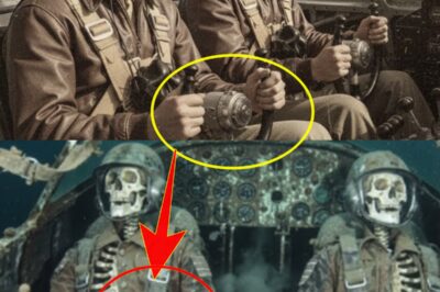 Lost at the Controls: The Bomber That Waited 80 Years