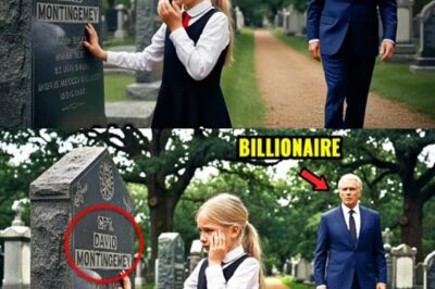 The Grave That Spoke: A Billionaire, A Crying Child, And A Secret Buried in Plain Sight