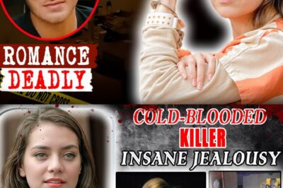 Silent Resolutions, Deadly Nights: Inside the Calculated Terror of the “Gay Slayer”