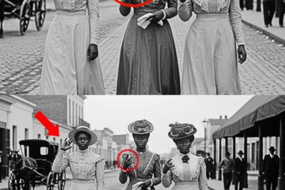 The Three in White: A Hidden Language, 83 Murders, and the Family Secret New Orleans Tried to Bury