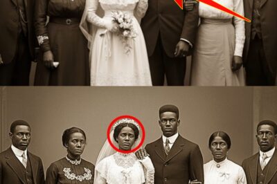 The Bride Who Witnessed: A Wedding Portrait, a Prison Wagon, and the Hidden Machinery of Birmingham’s Convict Lease