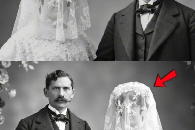 The Veil That Told on Her: A 1912 Bride, Nine Dead Husbands, and the Serial Killer Chicago Forgot