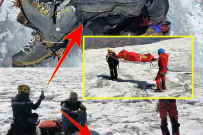 Glaciers Reveal a 22-Year-Old Mystery: American Climber Found Dead in Peru
