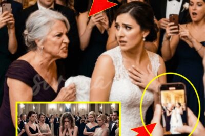 They Stripped Me Naked at My Own Anniversary… Then My Billionaire Father Arrived