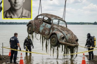 Vanished in 1968: Mechanic’s Blue VW Beetle Found 47 Years Later – Driver Still Inside!