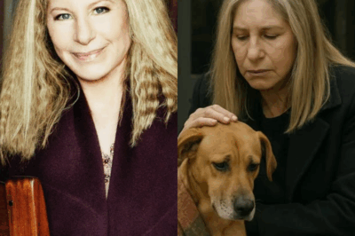 Barbra Streisand Stuns Shelter Staff: What She Did for 47 Forgotten Dogs Will Melt Your Heart
