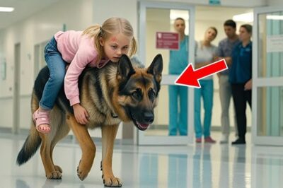 The Hospital Froze When This Dog Walked In — Then They Saw What He Was Carrying