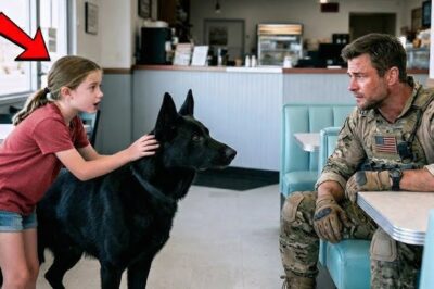 Little Girl Told the Navy SEAL: ‘My Dog Can Find Your Son’ — What Happened Next Shocked Everyone
