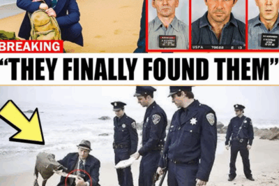 Finally After 55 Years, Alcatraz Escape Is Solved And It’s Sh0cking