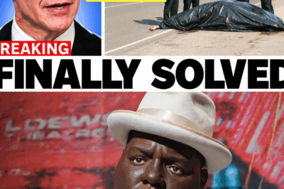 28 Years Later, Biggie Smalls’ Mystery Is Finally Solved in 2025, And It’s Bad