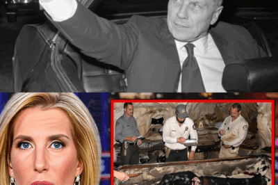 After Decades, Jimmy Hoffa’s Body Was FINALLY Found — And The Truth Is Terrifying