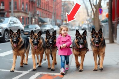 A Little Girl Walks Her Dogs Every Morning, Until People Discover She Is Hiding Sh0cking Secret!