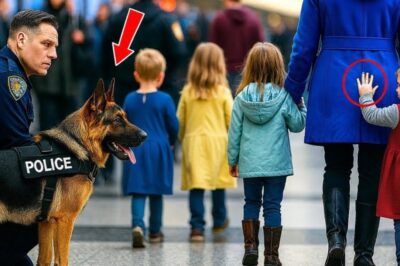 Little Girl’s Gave Silent Signal to Police Dog What This Dog Did Next Sh0cked Everyone