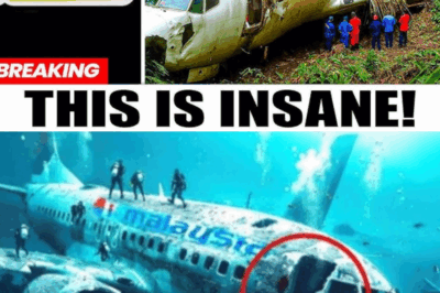 Flight MH370 Passenger Sent Chilling Text Message That Solves the Disappearance