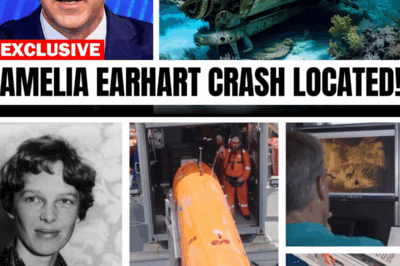 After 87 Years, Amelia Earhart’s Plane Was FINALLY Found!