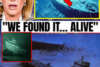 Underwater Drone Flown Towards SS Edmund Fitzgerald What They See Terrifies The World