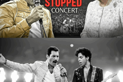 FREDDIE MERCURY STOPPED Concert When Queen Elizabeth Showed Up Unannounced at Wembley Stadium