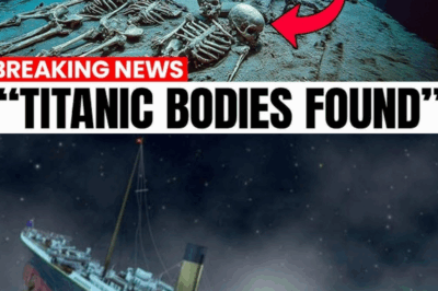 Things You Didn’t Know About The Titanic Disaster That Will Blow Your Mind
