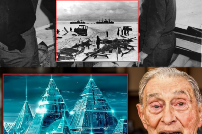 World Stunned! Last Survivor FINALLY Reveals Truth About The Admiral Byrd Expedition, It’s Sh0cking