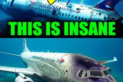 MH370 JUST SENT ITS FIRST REAL CLUE IN 11 YEARS — AND THE NEW SONAR IMAGES ARE TERRIFYING