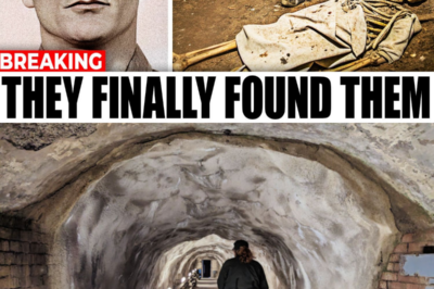 LOST ALCATRAZ TUNNELS FINALLY DISCOVERED, EXPERTS TURN PALE WHEN SEEING WHAT’S INSIDE