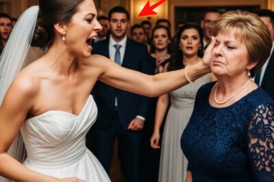 My Daughter Slapped Me at Our Wedding—But the Judge in the Room Changed Everything