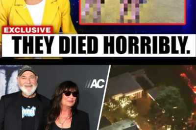 The Final Moments of Rob Reiner and His Wife Sh0ckingly Reveal the Cause of Their Death