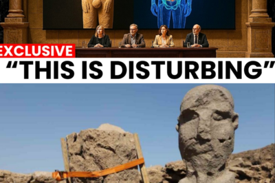 Archaeologists Just Found a 12,000-Year-Old Human Statue Inside Göbekli Tepe — And It’s Not Good!