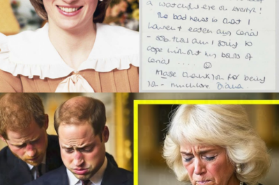 Princess Diana’s Lost Letter to Prince William Is Finally Revealed After Years