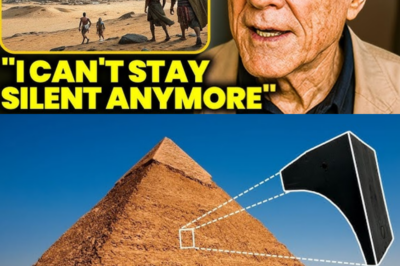 “I Found Out Who REALLY Built The Pyramids And I Brought Proof” Graham Hancock Leaves World STUNNED
