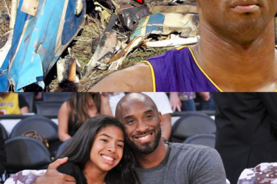 Helicopter Pilot’s FATAL Mistakes Killed Kobe Bryant!