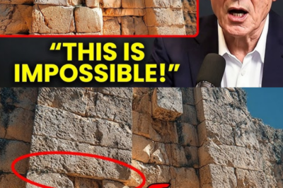 New Baalbek Discovery Sh0cked Archaeologists — and It’s Worse Than We Thought