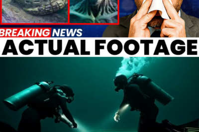 Experts Finally Solved the Baltic Sea Anomaly Mystery… And It’s Worse Than We Thought