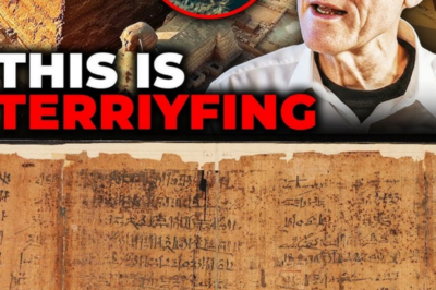 Ancient Scrolls Found in an Egyptian Burial Shaft Rewrite Everything We Know