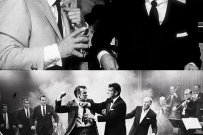 A Furious Man Jumped Onstage to Punch Frank — Dean Martin’s Move Was Legendary