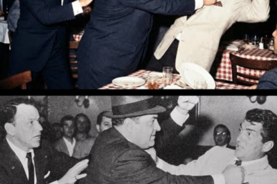 Frank Sinatra’s Joke Almost Got Them KILLED—What Dean Martin Sacrificed Left Frank in TEARS