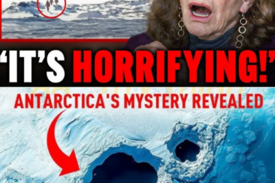 After 30 Years, Linda Moulton Howe Finally Admits What She Saw on Antarctica