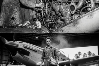 They Called His Engine Swap “Illegal” — Until His P-51 Outran Every Jet at 490 MPH