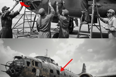 Engineers Called His B-25 Gunship “Impossible” — Until It Sank 12 Japanese Ships in 3 Days
