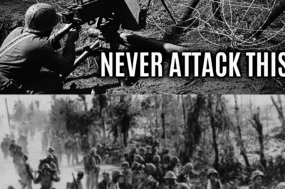 In 1942, Japan Attacked America’s Henderson Field. It Was a HUGE Mistake