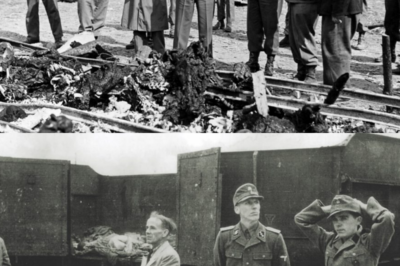 What American Soldiers Did to SS Guards When They Found Dachau
