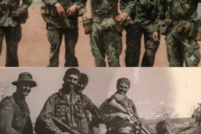 What Happens When A Seasoned US Colonel Witnesses Australian SAS Forces Operating In Vietnam?