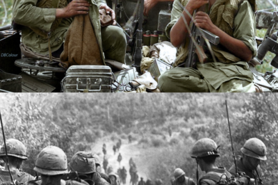 When Green Berets Tried to Fight Like Australia SAS — And Got Left Behind