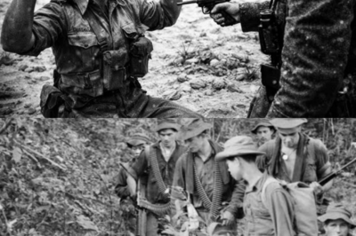 When the NVA Had Navy SEALs Cornered — But the Australia SAS Came from the Trees