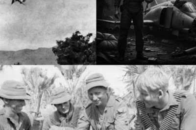 Why US Pilots Called the Australian SAS The Saviors from Nowhere?